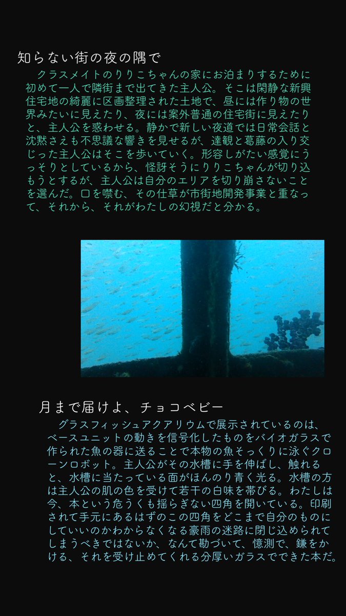 _6muimui6_'s tweet photo. 友だちが書いた本の紹介‼️🐟
ここから買えるよ～▶︎（https://t.co/TcfP1PH6PW） https://t.co/pDYDvIAE5w
