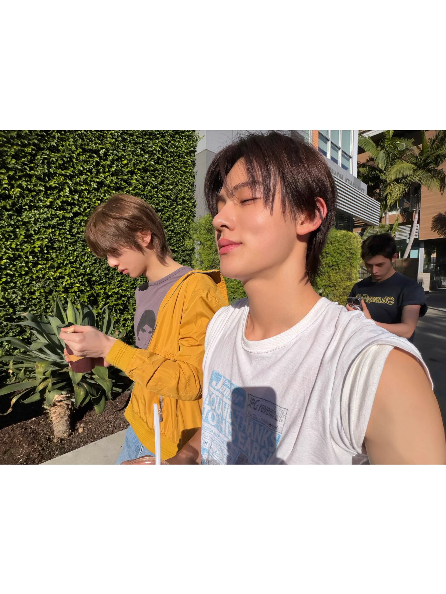 Mewꪔ̤̱ 𝙢𝙚𝙬 on X / X