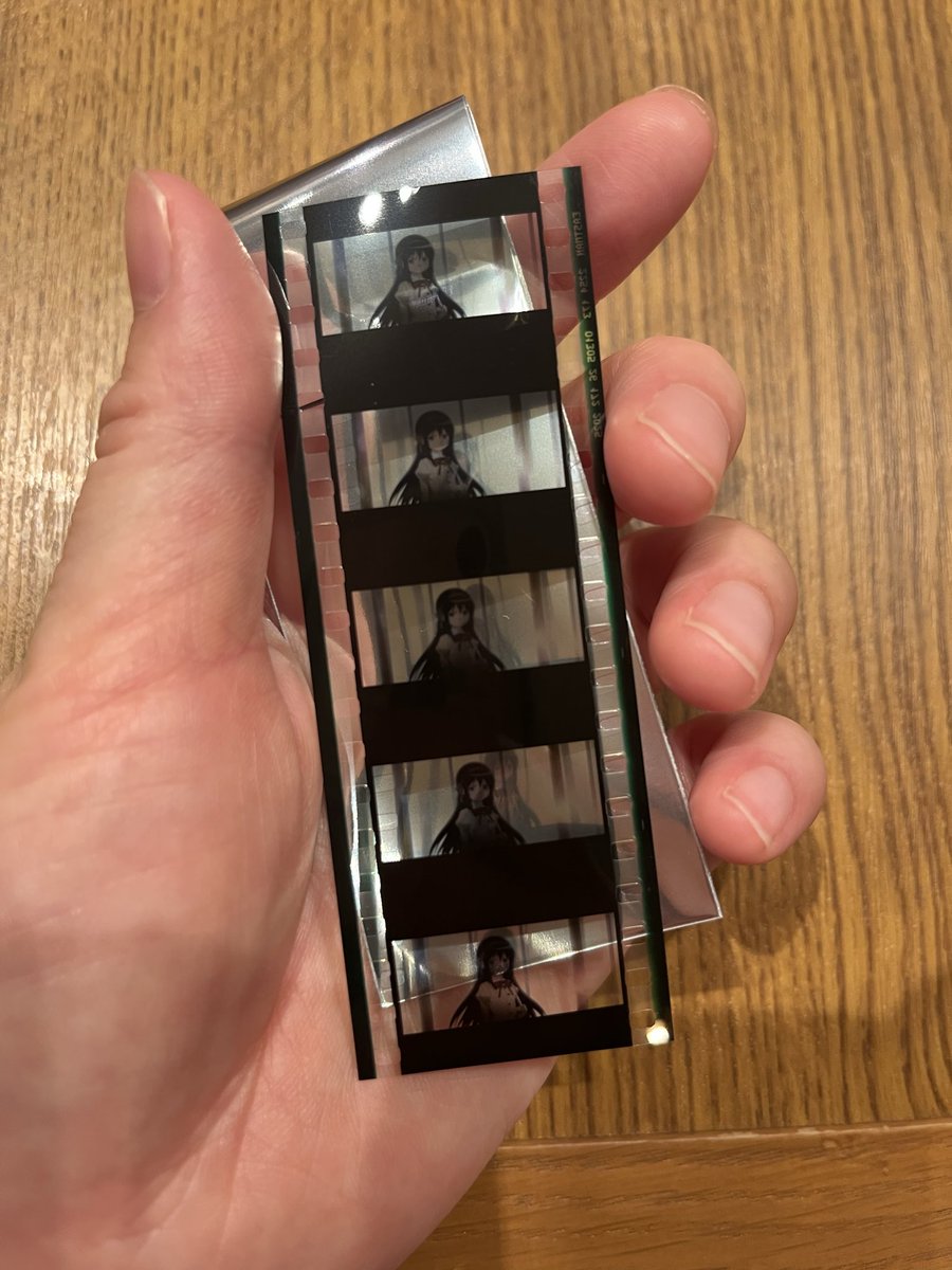 py41's tweet photo. フィルムほむほむだった☺️ https://t.co/8n6QMewA3e