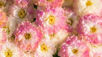 kotoha36586112's tweet photo. おはようございます

失敗は成長のために必要なステップです https://t.co/VZw06J918z