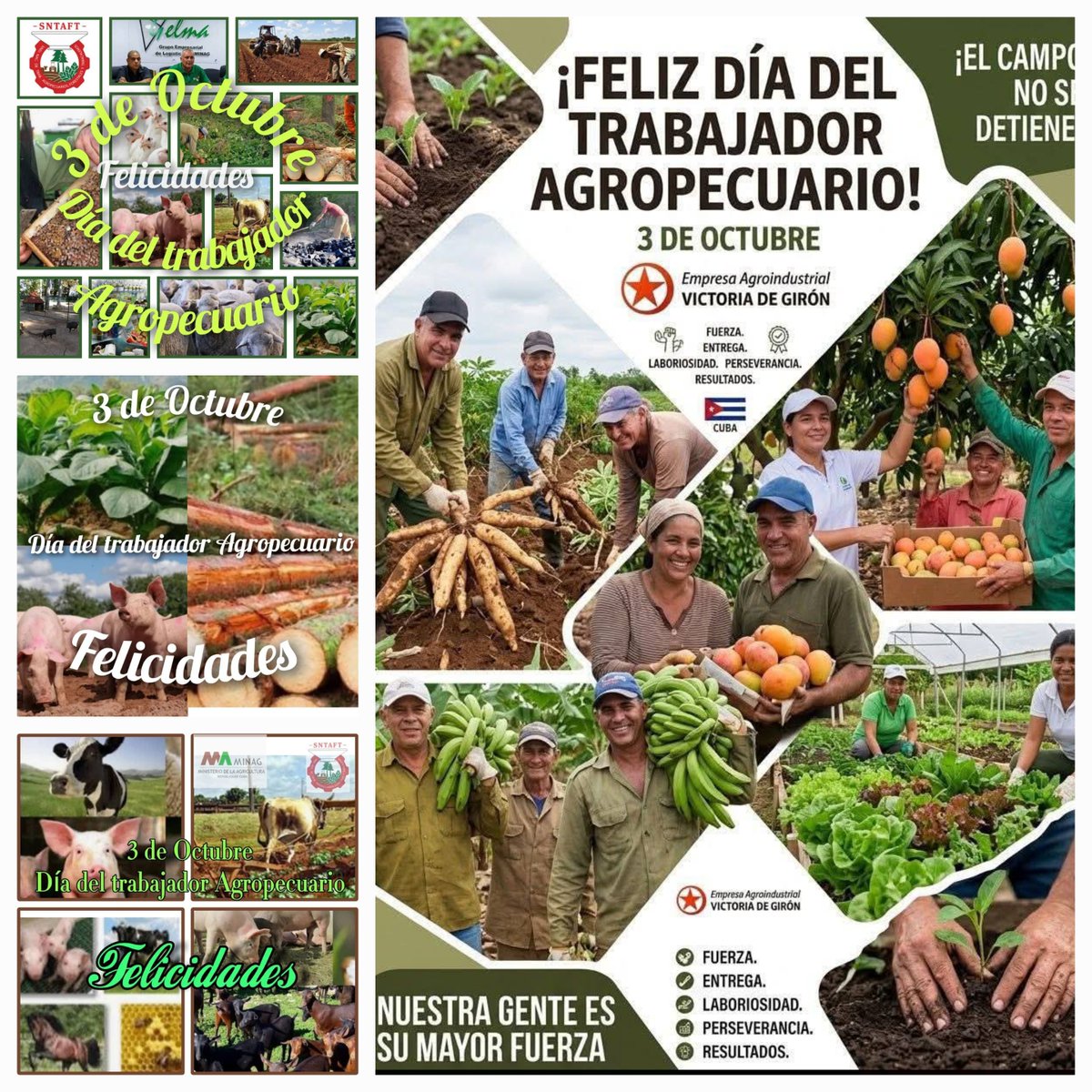 JorgeEn31296650's tweet photo. Muchas felicidades a los Trabajadores Agropecuarios en nombre de todos los trabajadores de la salud en #Minas. Tengan todos muchas felicidades. Gracias por su apoyo siempre a nuestro sector en momentos tan dificiles. #UnidosXCuba #SaludMinas https://t.co/yKufFgaEQP