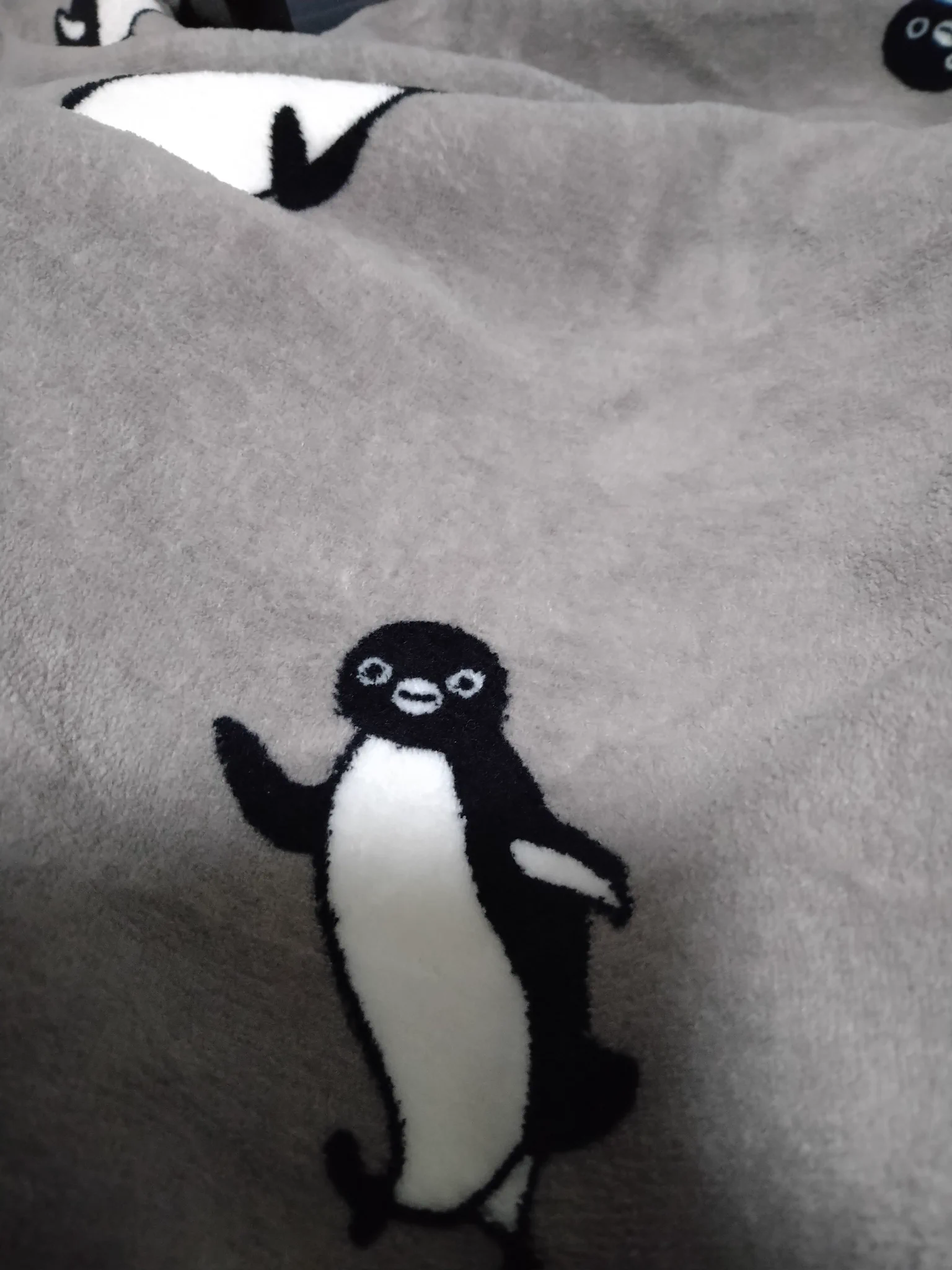 ぎんのすけ(⌒▽⌒) on X: 