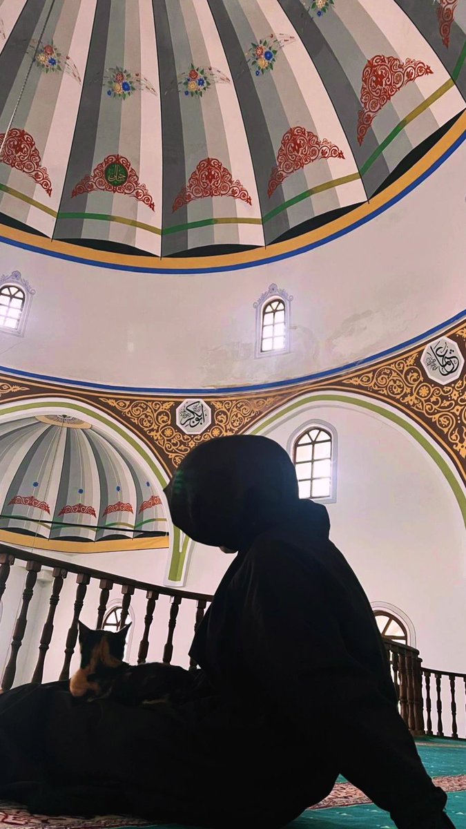 Emngrlll's tweet photo. Minik bir misafir..🤍😻 https://t.co/ASFBJQbDzJ