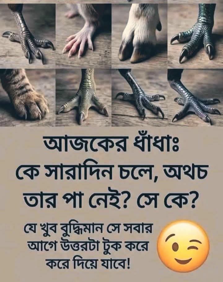 SaifulI93796080's tweet photo. https://t.co/HWVj24p41k