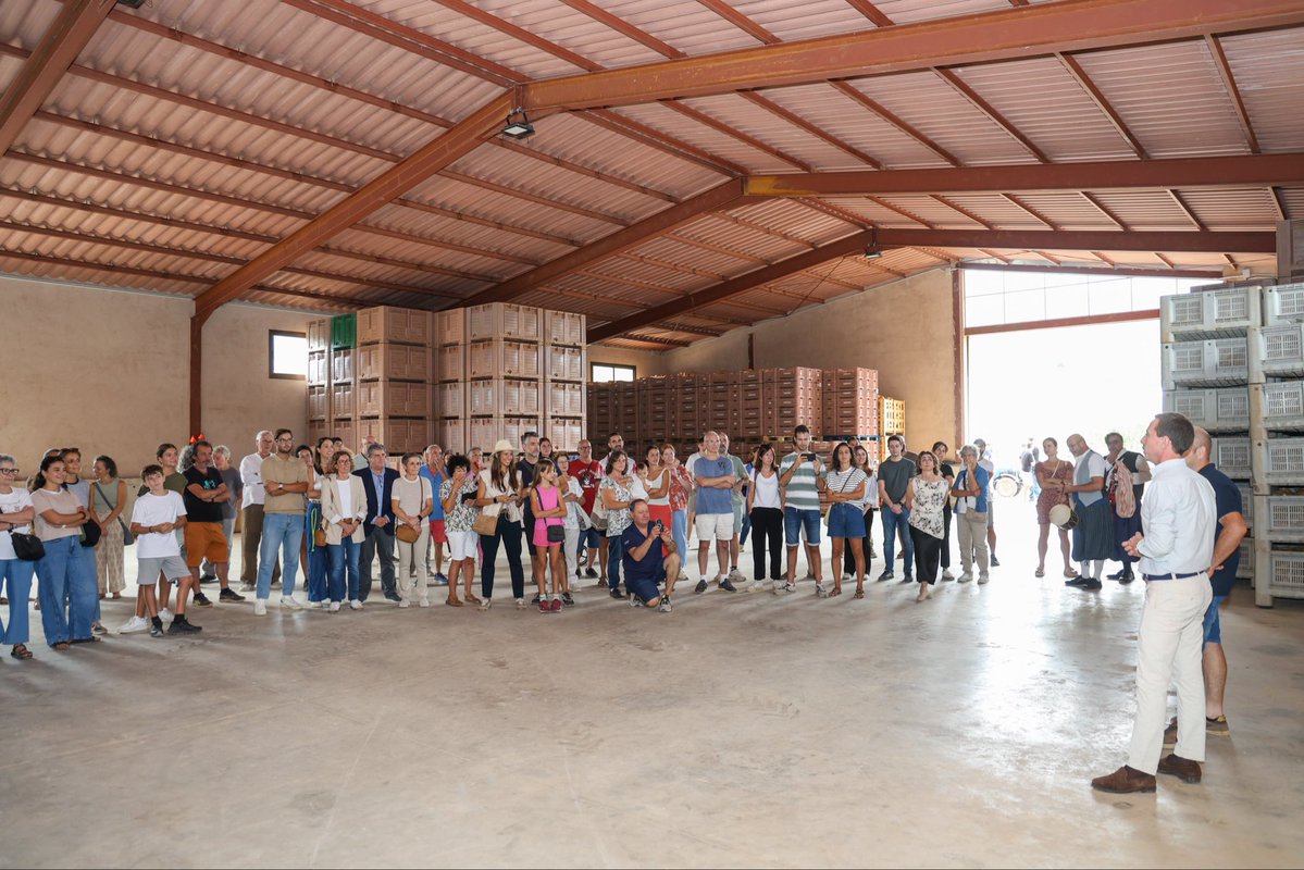 Ll_Galmes's tweet photo. Un plaer donar suport des del @ConselldeMca la Gran Fira de Producte Local i Divulgació Agrícola a s’Hort de Sa Vall, a Manacor.

Una jornada per conèixer de prop la feina que hi ha darrere cada producte: des del cultiu i la preparació de la terra fins a la collita, i la seva posterior venda.

Una manera molt didàctica i propera de posar en valor el camp de Mallorca, els nostres pagesos i el producte de quilòmetre zero.

Des del Consell de Mallorca continuam fent costat al sector primari i al producte de la nostra terra. Aquesta legislatura hem incrementat les ajudes destinades a la promoció del producte de Mallorca, que enguany arriben als 2,3 milions d'euros.

Enhorabona a tots els qui fan possible aquesta fira i, sobretot, gràcies per obrir les portes i acostar-nos la realitat de la nostra pagesia.
