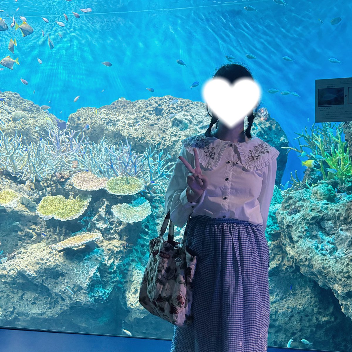 ice_suicide_o0's tweet photo. 水族館行ってきたー！テトロドトキシン(フグ毒)の構造式ネックレス着けていきました https://t.co/Bx9e23zfBB