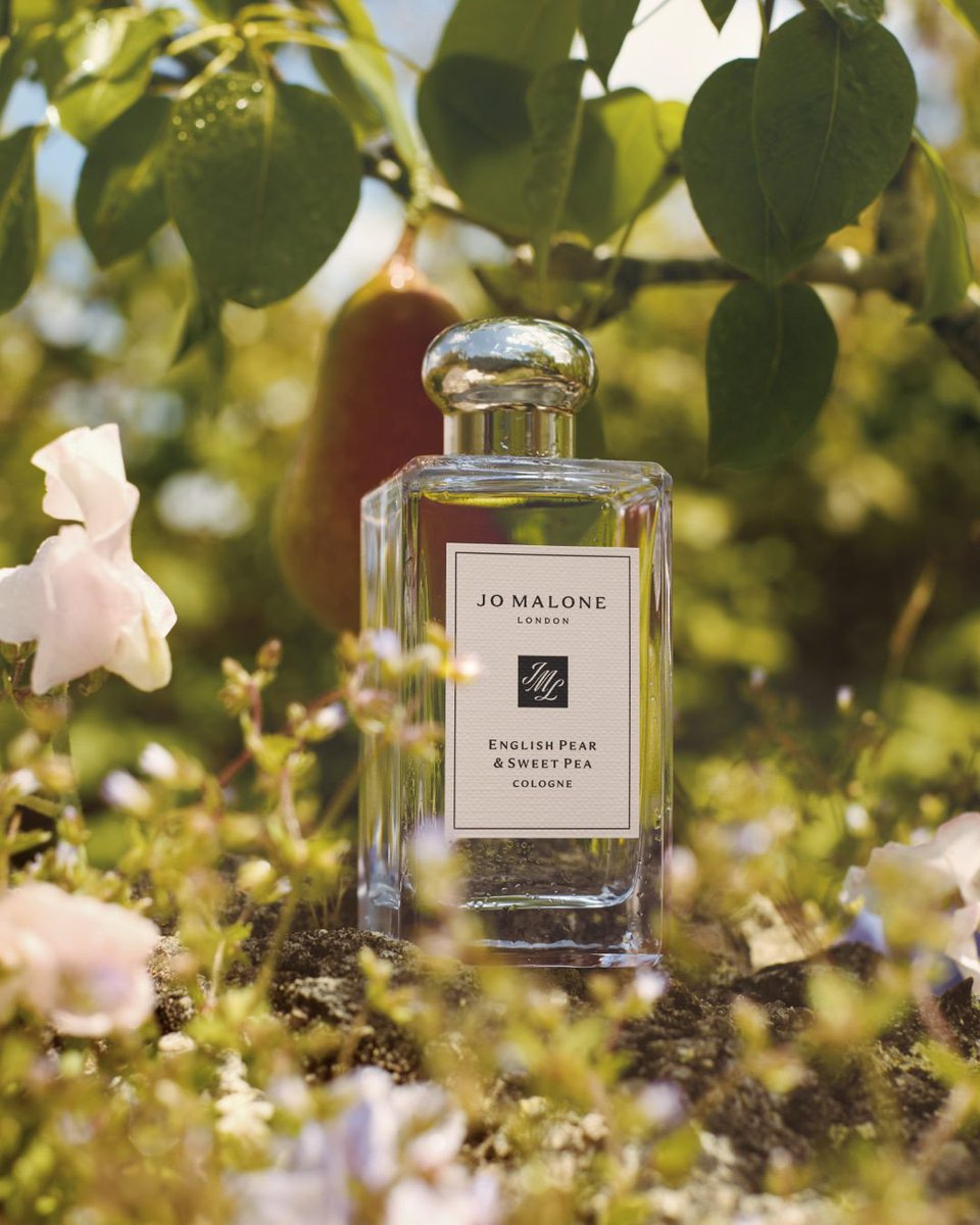 Fon_srlk's tweet photo. พร้อมส่ง

Jo Malone London English Pear &amp; Sweet Pea 9 ml 

💕 690฿

สดใสมากกกกกกกกก ❤️❤️
หอมฉ่ำ ร่าเริง อ่อนโยน  น่ารัก น่าเอ็นดู สดใสกว่ารุ่นเดิม

ลูกแพร์ และ ดอก Sweet Pea ฟุ้งกระจุยกระจาย 
musky สะอาด โล่ง กลิ่นน้ำผึ้ง ผสมดอกไม้นุ่มๆ  สวยอะไรขนาดนี้ https://t.co/djL5RNGy4Y