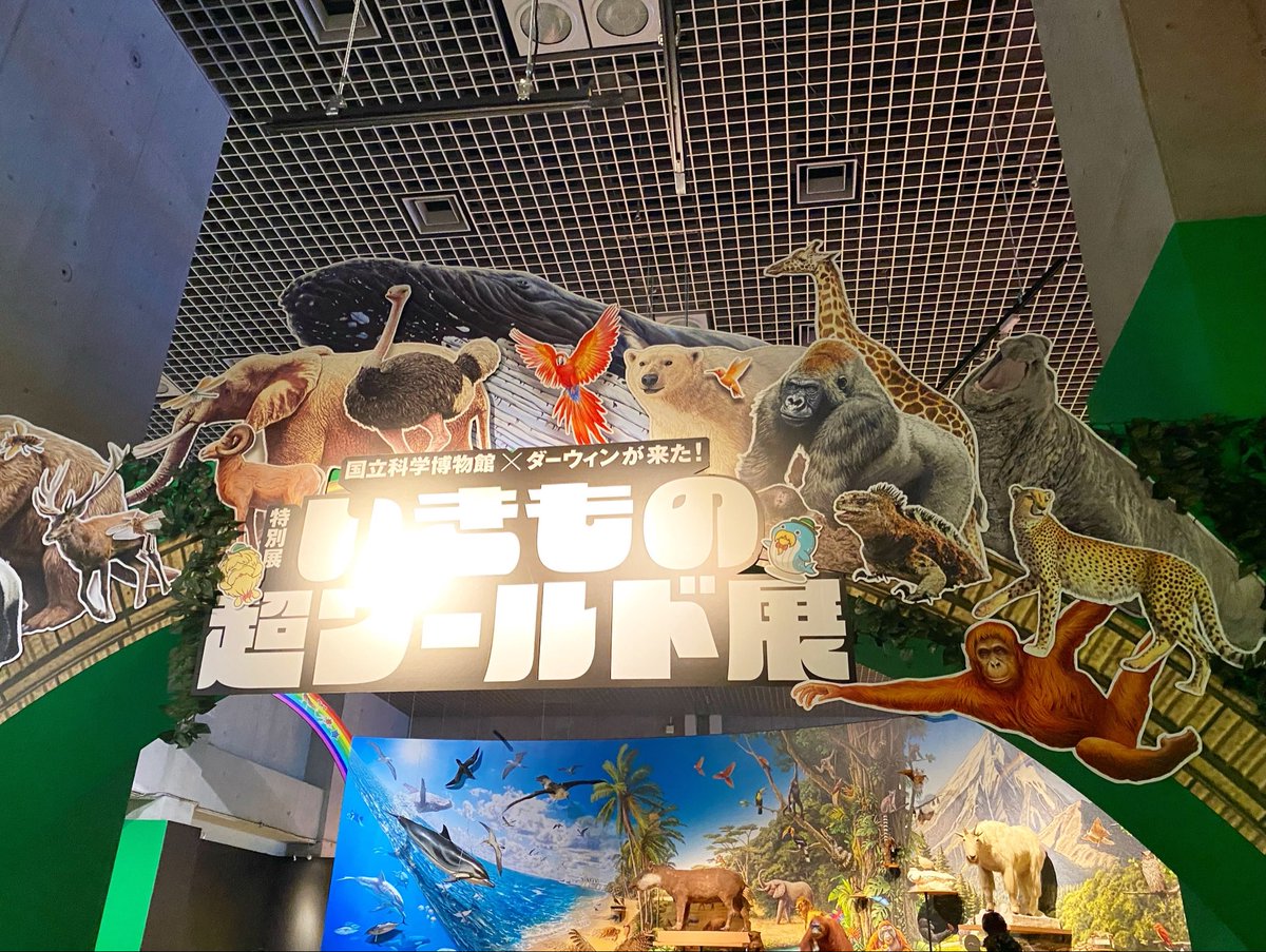 nosuke_0_'s tweet photo. 上野散策🐾 https://t.co/nvYO639VXG