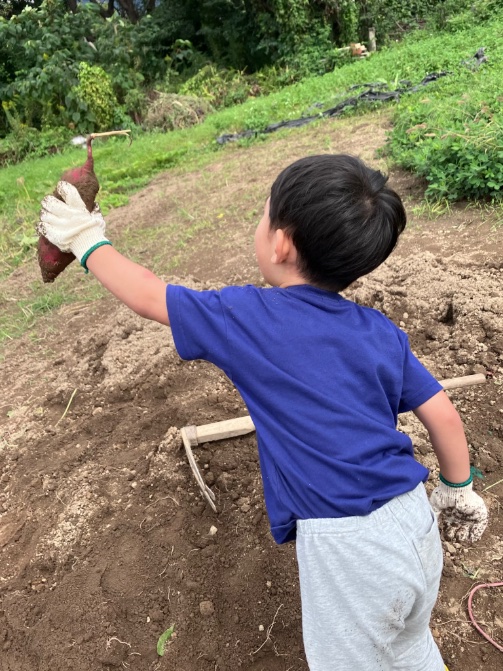 SuntoryNacky's tweet photo. 幼馴染boysで芋掘り��てきた。
収穫したさつまいもは熾火で焼き芋にしてその場で食べた。
落花生やらナスやらししとうなどいろいろ収穫出来て満足。
そのあと、Nackyの推し活に付き添ってきた。
握手してもらって大興奮してた。 https://t.co/n7Oi3xssr6
