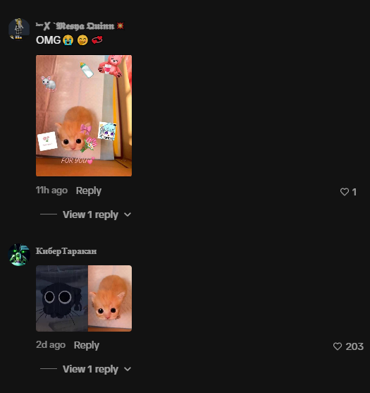 patchsol's tweet photo. Remember Billy that sent to multi hundred mil for just being cute?

The Cat version of it just spawned and is going giga viral on tiktok

PLUS the WHOLE comments section making memes about her

one cat to rule them all.

$Milly

https://t.co/poXWqTKvpx https://t.co/8yWilB4Nng