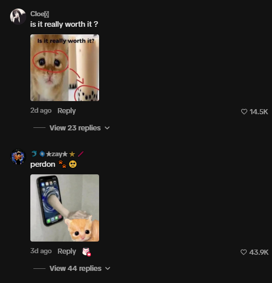 patchsol's tweet photo. Remember Billy that sent to multi hundred mil for just being cute?

The Cat version of it just spawned and is going giga viral on tiktok

PLUS the WHOLE comments section making memes about her

one cat to rule them all.

$Milly

https://t.co/poXWqTKvpx https://t.co/8yWilB4Nng