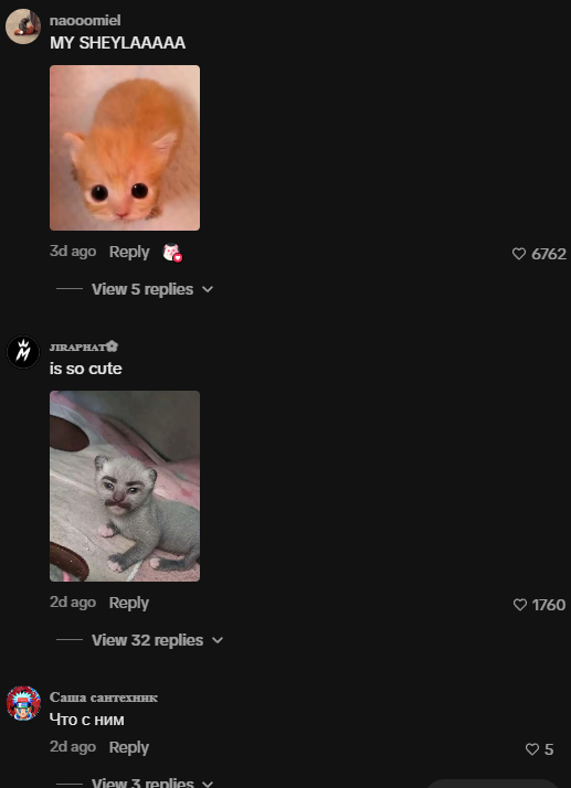 patchsol's tweet photo. Remember Billy that sent to multi hundred mil for just being cute?

The Cat version of it just spawned and is going giga viral on tiktok

PLUS the WHOLE comments section making memes about her

one cat to rule them all.

$Milly

https://t.co/poXWqTKvpx https://t.co/8yWilB4Nng