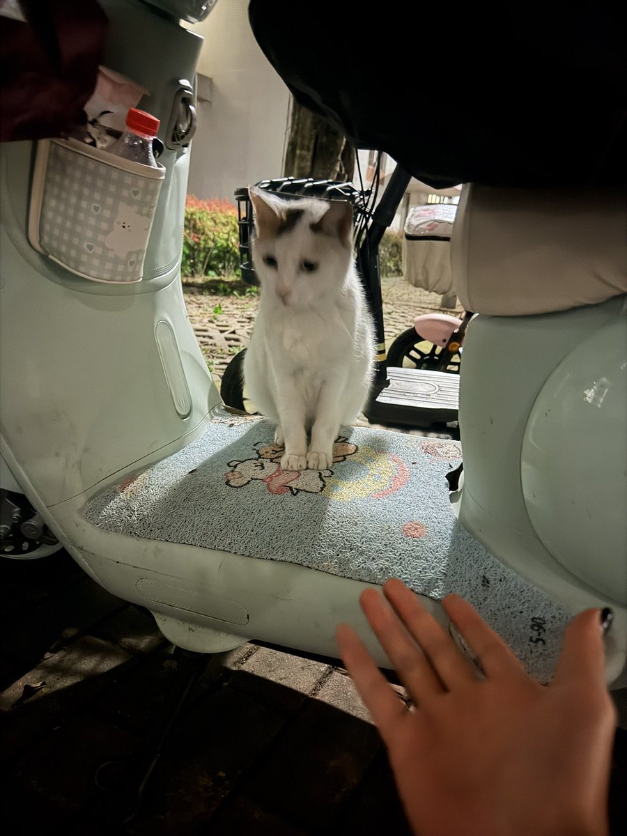 nnayuta0523's tweet photo. 因为我是穷小子，所以你都不愿跟我牵手是不是 https://t.co/KgKKq60efu