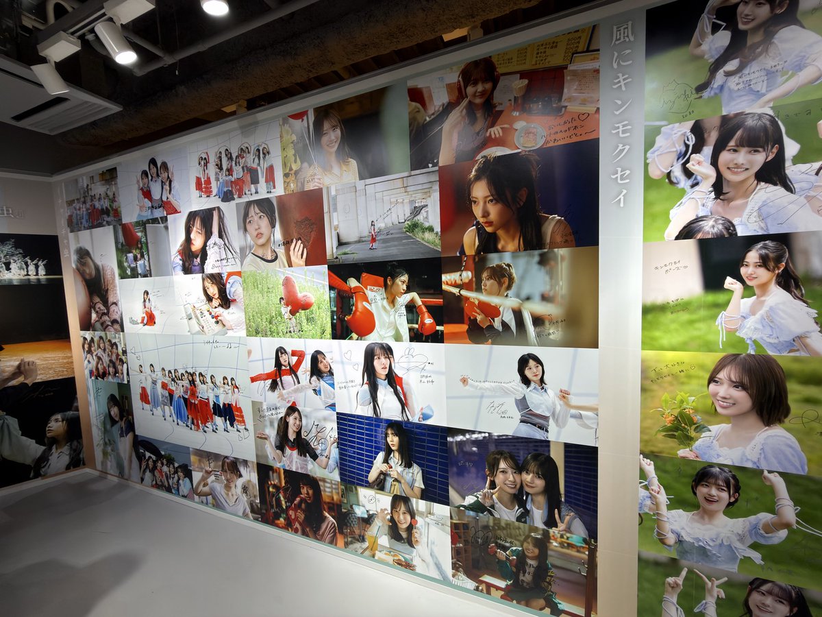 teppeii_m's tweet photo. 老若男女のいい空間でしたね
パネル展、ハート展示

#日向坂46_イチャイチャ虫 
#日向坂46 
#正源司陽子 https://t.co/wiF8uAylS4