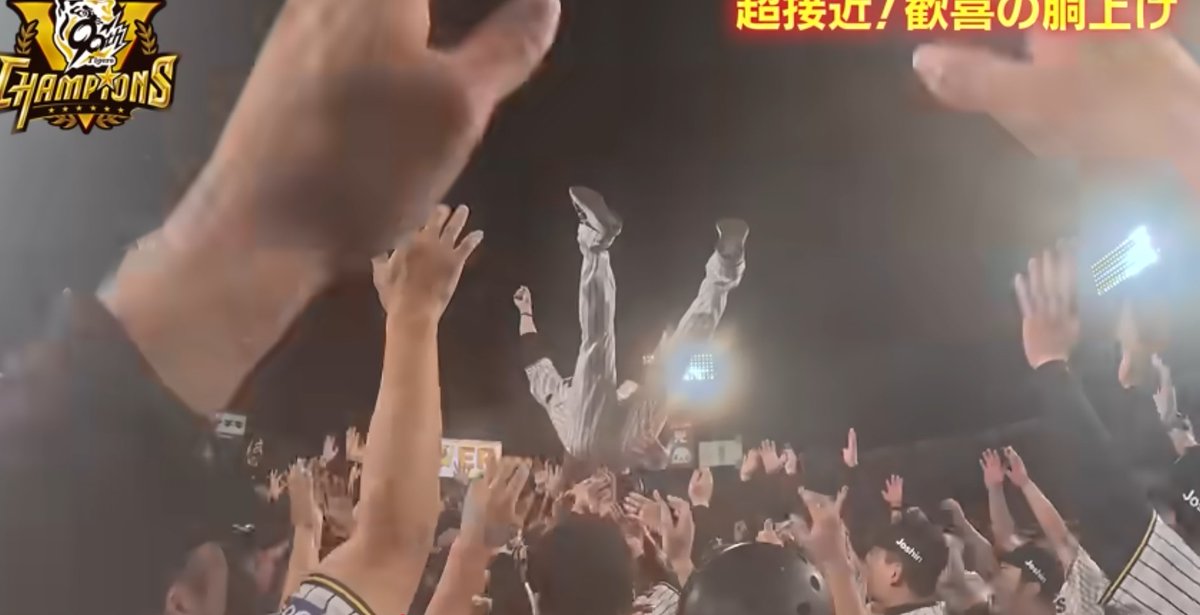machiya621's tweet photo. 阪神タイガース、連覇やぁ！！　これは去年の画像ｗ。＃阪神優勝 https://t.co/nnbtudJEdj