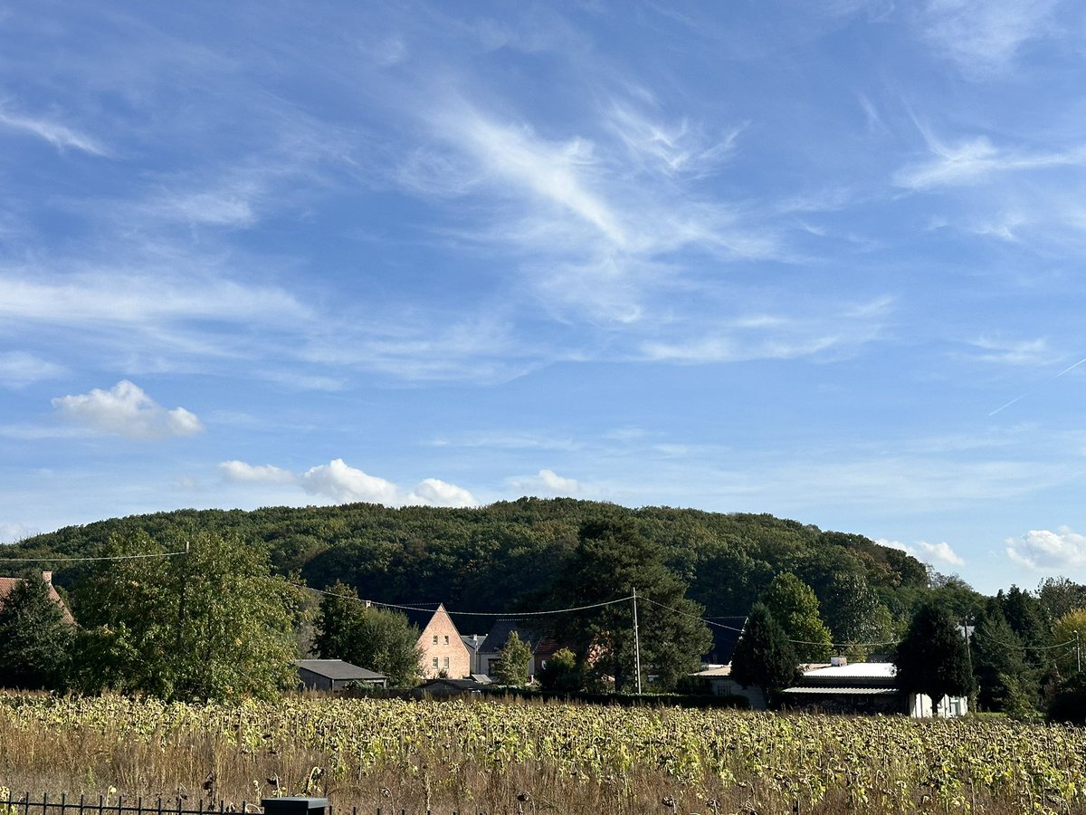 av8andco's tweet photo. 14u44 Wezemaal #vrtweer https://t.co/PsZX6RTWKq
