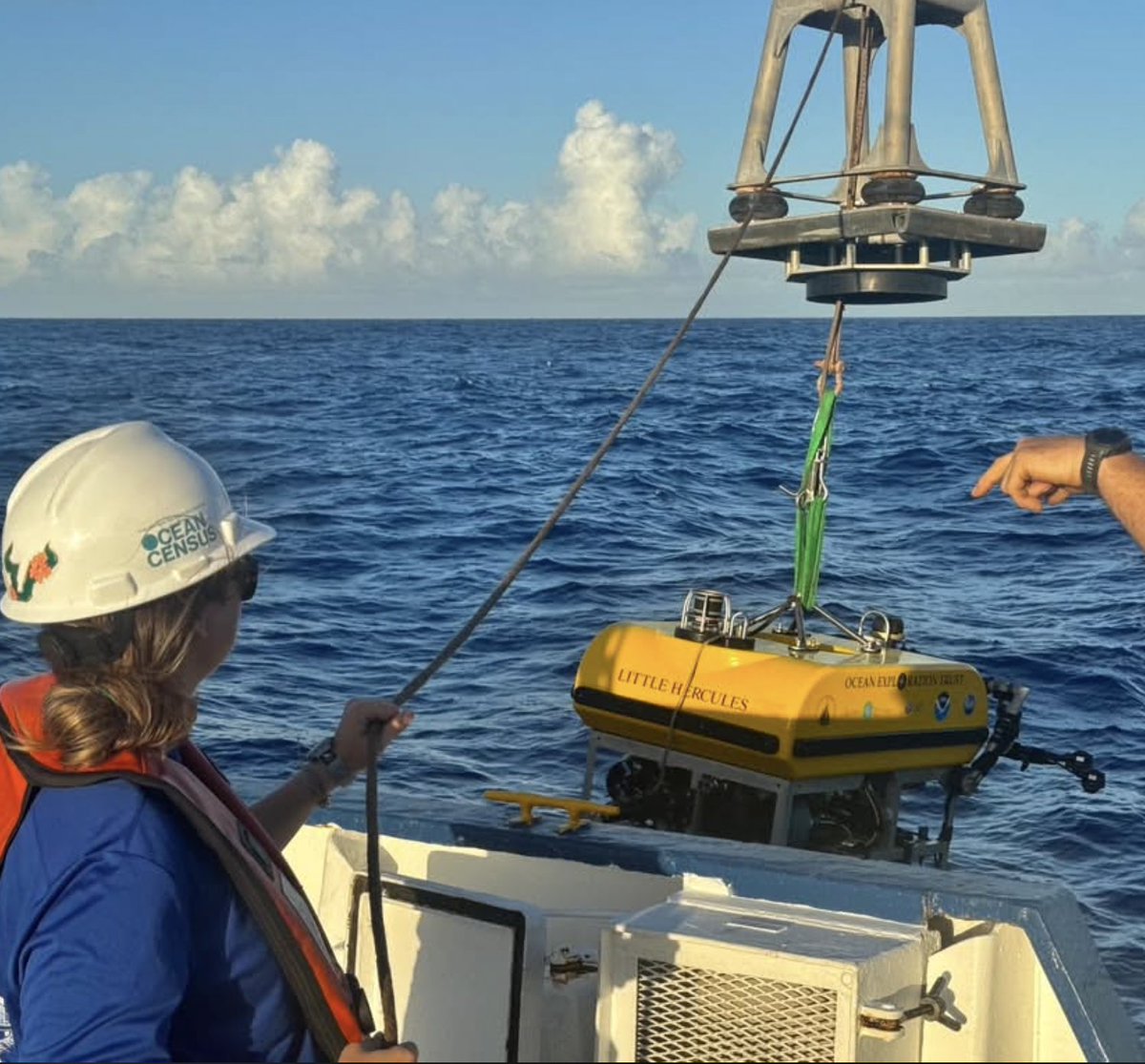 EVNautilus's tweet photo. Today's #InstagramTakeover comes from
University of South Florida College of Marine Science (@USFCMS) researcher and graduate student Isabella Iannotta, who is sailing on #EVNautilus thanks to her partnership with @oceancensus. https://t.co/PhJGk7X8Ew