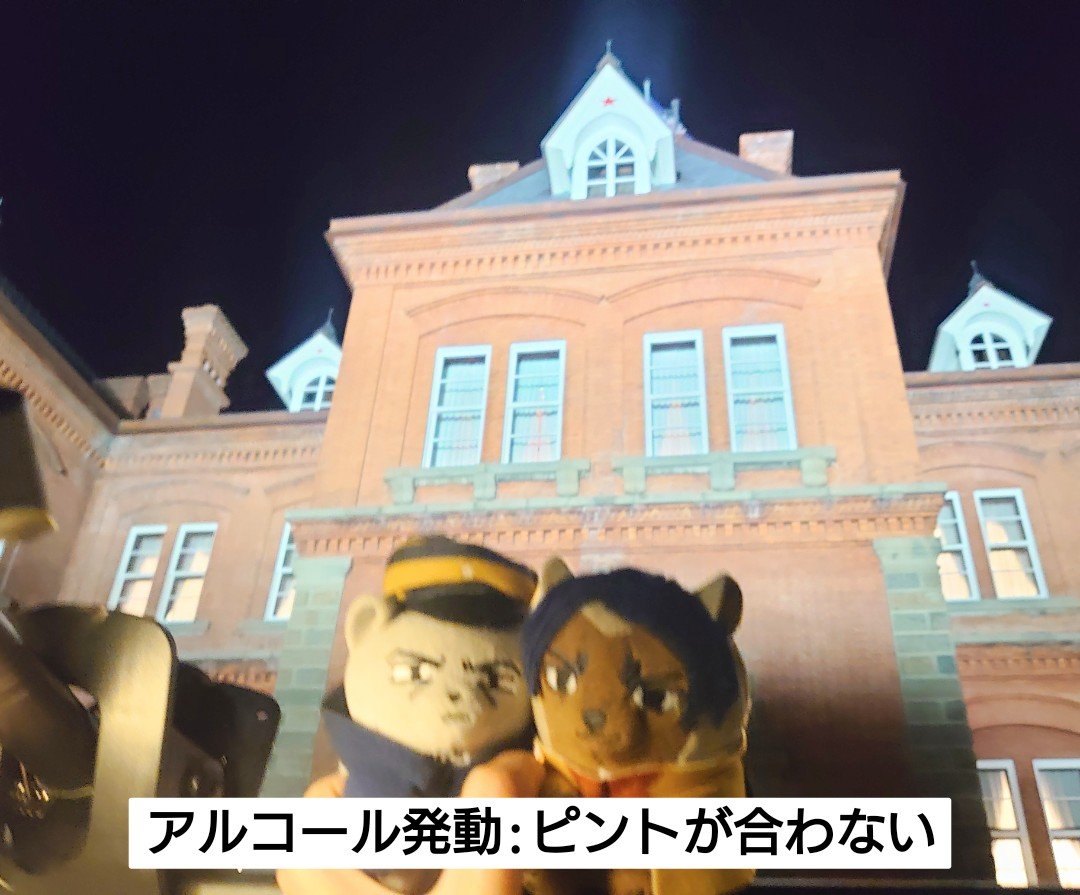 ReK_Ster's tweet photo. 無事に札幌到着🚃ひぐまさんと合流☆到着してからコーヒーとフライドポテトしか食べていなかった事を知ってお寿司を沢山頼んでくださるひぐまママ👶🍼←中身ソラチ🍺大満足でお散歩がてらライトアップ中の道庁へ🏤とんでもなくピントが外れるwやはり俺では駄目か…明日の聖地挙式イベントに備えて就寝 https://t.co/mkKasVhqSf