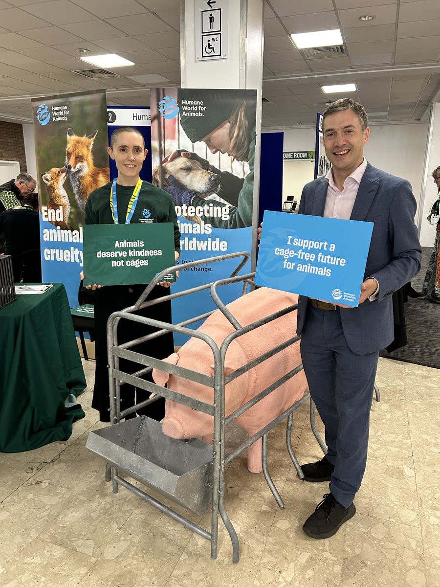 humaneworlduk's tweet photo. We appreciate the support of two fantastic champions for animals in Parliament, @natalieben and @AdrianRamsay, both very actively holding government to account to ban cruel pig and chicken cages, and strengthen many other laws to better protect animals 🐾 🐷 https://t.co/amtPOpXR71