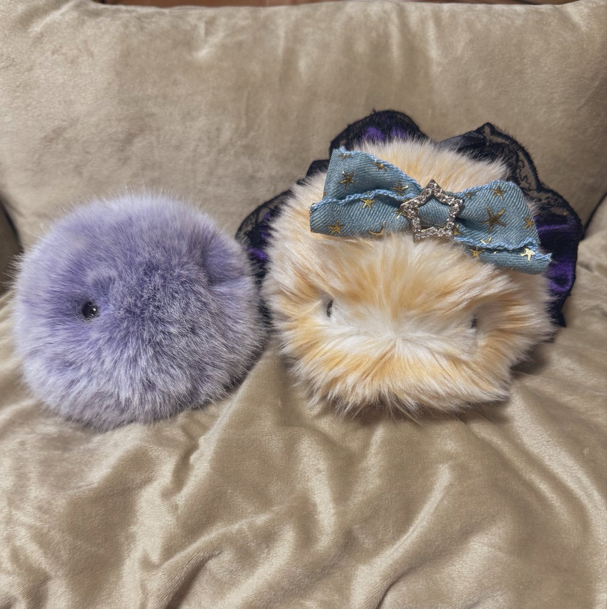 mofupimaru's tweet photo. モフリンが可愛すぎて2モフ目を
お迎えしたくてたまらない🙋‍♀️✨

お仕事モフリンとマカロンが、
楽しそうに話してるのを見て
思わずお迎えしちゃう所でした。
#モフリン https://t.co/0k8VA6QxU3