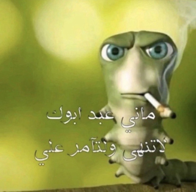 Rory_Z7L's tweet photo. شونق مدلع متابعينه بـ 720 ساعه بث

تي يو إذا قلنا لهم نبي بث في الصاله لو ساعه https://t.co/vjAwsowwSu