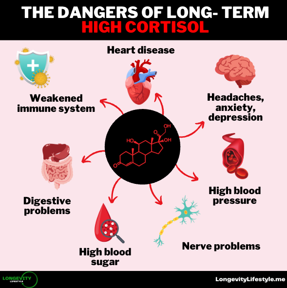 Longevity_EDU's tweet photo. Gabor Maté's core message:

"You're not broken."

Chronic stress is your nervous system working to survive.

It's an intelligent adaptation, but until you close the stress loops at the root:

No hack or pill will fix the issue: https://t.co/NdiWeXUVMv
