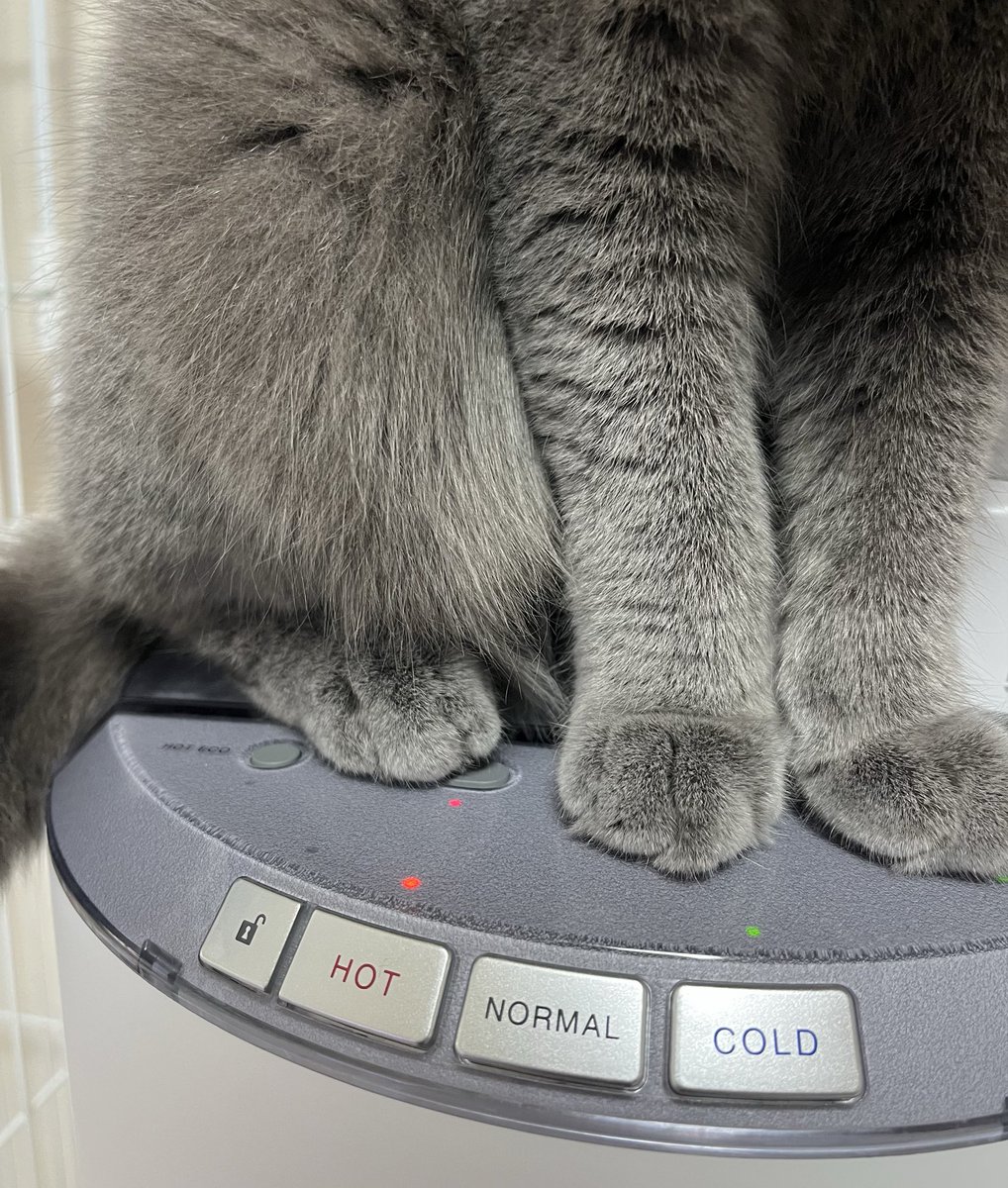 su_pa_prettycat's tweet photo. メーカー様へ

チャイルドロックは全ボタンになると嬉しいです。無限にお湯を沸かされています。

#ブリティッシュショートヘア https://t.co/54jmpWeqZZ