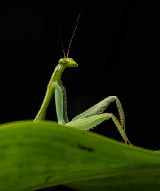AMAZlNGNATURE's tweet photo. A few standout photos from the Comedy Wildlife Photography Awards 2026 finalists https://t.co/s2jMbkH4Ve