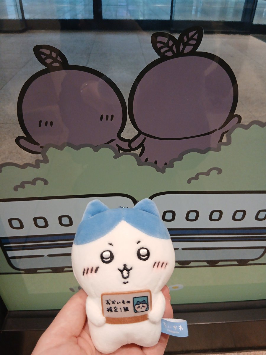 hatena_exchange's tweet photo. はい…しれっとハチワレのぬい増えました…
ギターのやつだけにするって言ってたくせに…
でもこれはエポスカードのポイント交換なので…実質無料です…
おかいもの検定1級、かわいいからいいよねッ https://t.co/hOtbx1E9vQ