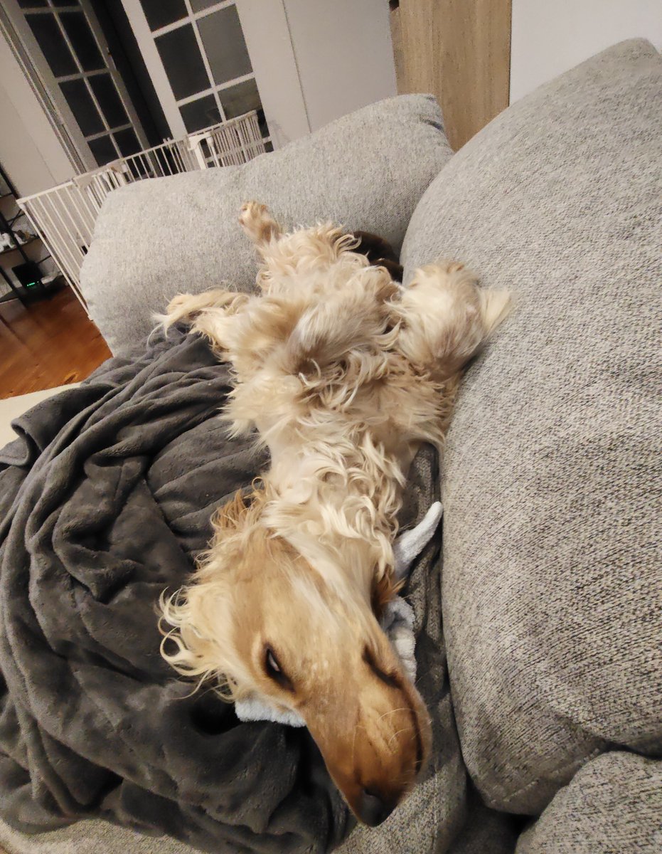 Riz121212's tweet photo. 寝顔と寝相の癖よwwwww
Are u comfortable my lil girl lol https://t.co/FJEVdFkdCR