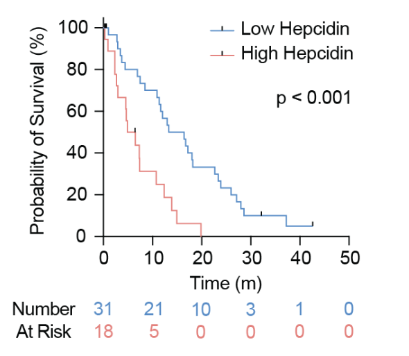 Aiims1742's tweet photo. Preprint by @SantoshVardhana @MSKCancerCenter 
Systemic iron sequestration restricts the intratumoral CD8+ T cell landscape in #PancreaticCancer 
https://t.co/Hmhz9NorXK
Iron uptake by tumor cells for survival also deleterious to T cells, especially in limiting conditions. https://t.co/7yzyoxmfNm