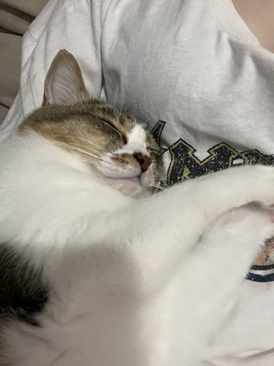 sm_1033_'s tweet photo. この子のために私は頑張ってる https://t.co/82KqkmyYwg
