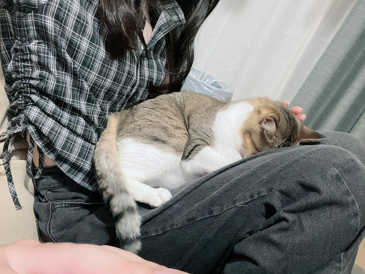 sm_1033_'s tweet photo. この子のために私は頑張ってる https://t.co/82KqkmyYwg