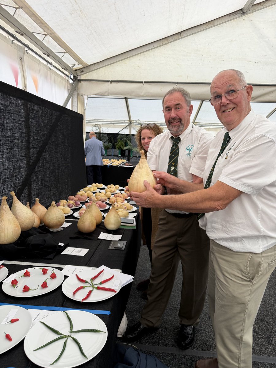 medwynsofangles's tweet photo. The weather made things challenging for the onion an leek growers constantly trying to cope with the dreaded Thrip. A tiny insect that constantly nibbles at epidermis weakening the plant and silvering the foliage. A new white round potato making its mark is Harry. Perhaps this might get royal acclaim!!