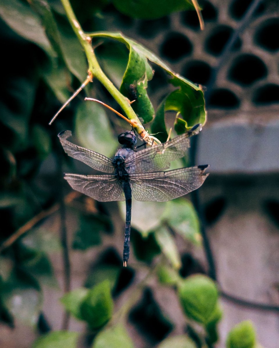 doormat_kin's tweet photo. Uploading my photos lil by lil cus I feel like posting em here https://t.co/JM6ijwlGDI