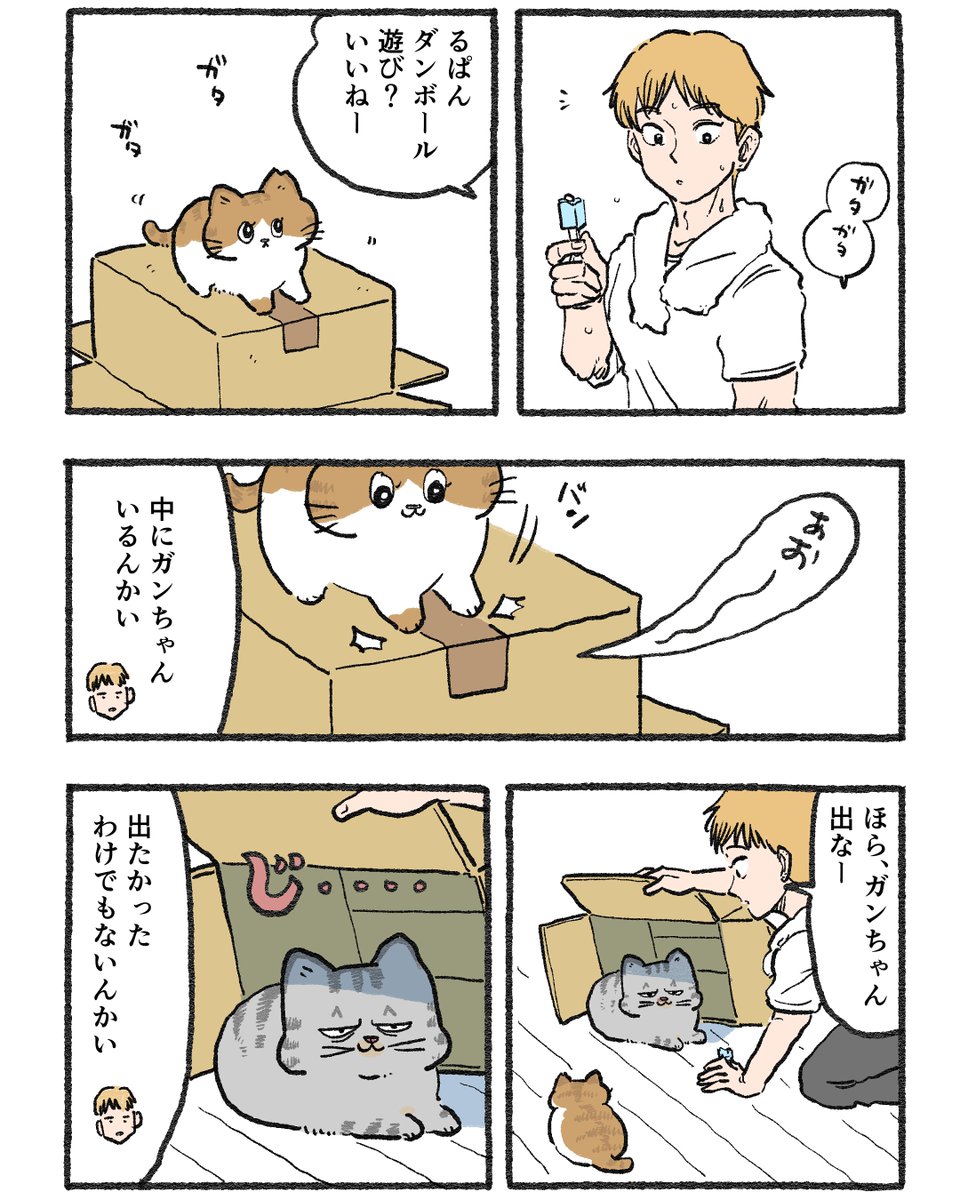 yajima_en's tweet photo. ねこおじ番外編 
〜宅配のお兄さんと３匹のねこたち〜
 １Pまんがまとめ。その4

  ねこおじ再放送🐱1/3 https://t.co/qk4LcGSSFl