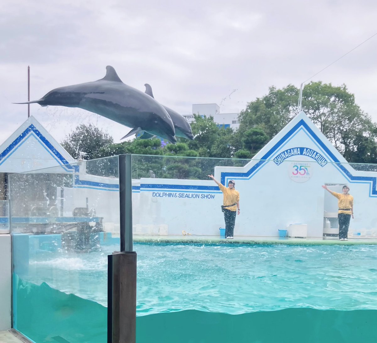 BRp6m's tweet photo. 品川水族館🐬🫧 https://t.co/qjoZnZdu02