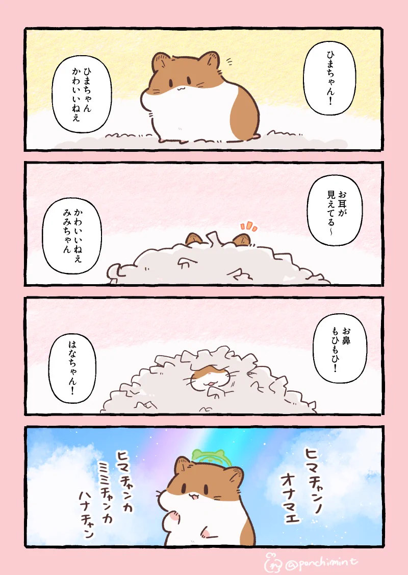 なみゴン様☆確認ページ しらほし卯乃@2巻5月20日発売🌻🐹 on X: 