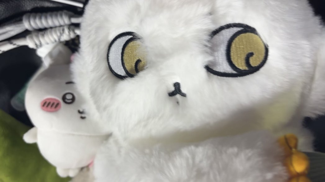 hamhamweywey's tweet photo. 인어섬 봤어용 https://t.co/vLSuWbeCuS