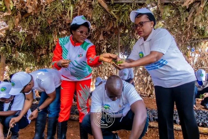 iwacuinfo's tweet photo. En plus des travaux de traçage de courbes de niveau et leur végétalisation, le projet PRCCB-NAGURA-ISI prévoit la distribution de semences sélectionnées et du bétail pour faciliter aux bénéficiaires l’accès facile à la fumure organique afin d’assurer une amélioration de la productivité agricole des terres aménagées. 
📸 @RTNBurundi