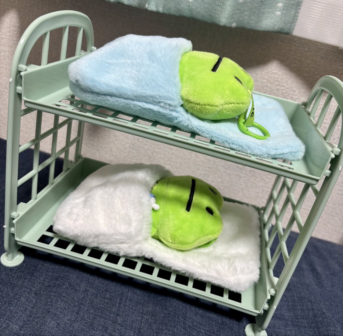 CocochaAsobu47's tweet photo. 2段ベットを手に入れた！🛌
これで、うゆもちやも快適に寝れるね
#fric https://t.co/Idz1fwfkv3