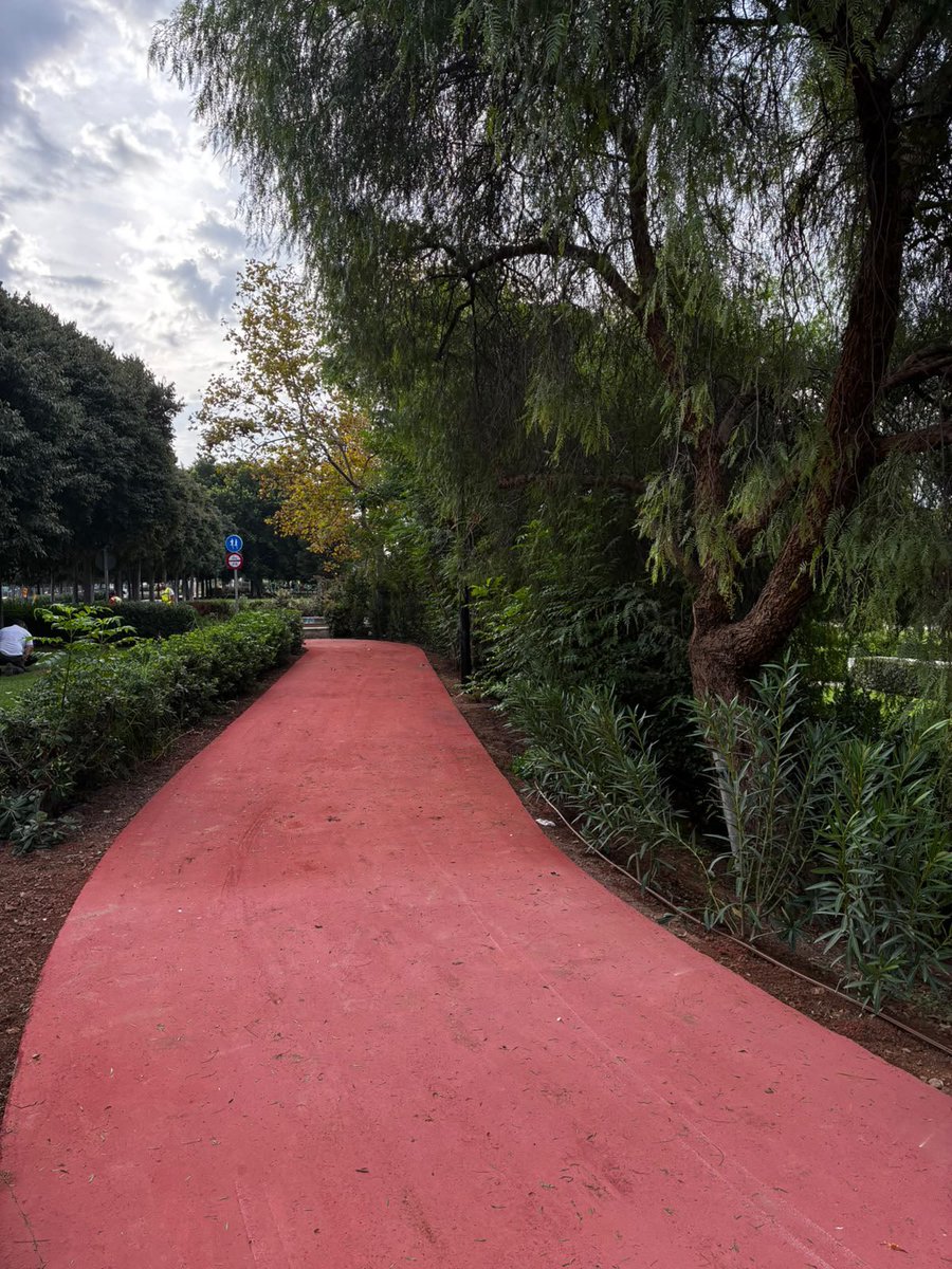 VCRunning's tweet photo. 🧡 ¡Tenemos más Circuit disponible!

Ponemos en servicio 700 metros más del Circuit Valencia Ciudad del Running, entre el puente de Monteolivete y el de l’Assut de l’Or.

Dentro de poco acabaremos la ampliación y habrá casi 8 kilómetros para correr! 💪🏼 🚧 https://t.co/MX5oiX9ktT