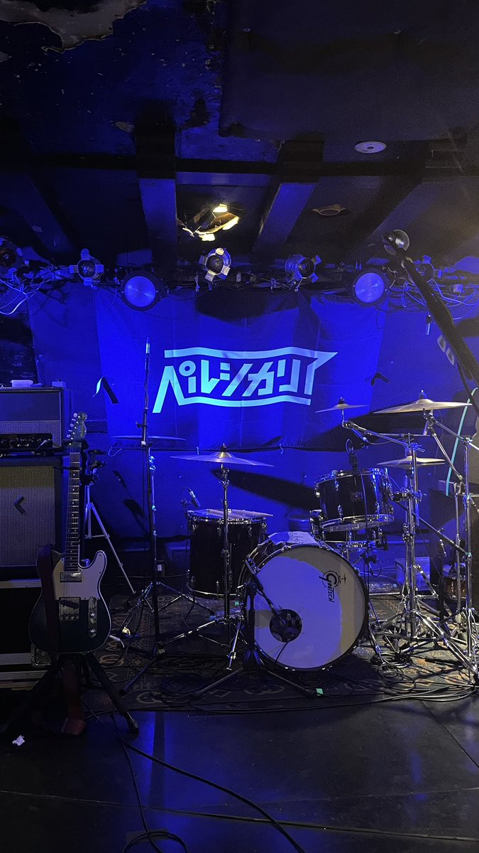 uplvr_'s tweet photo. とてもよかったペルシカリアт т https://t.co/4i6elMPm6P