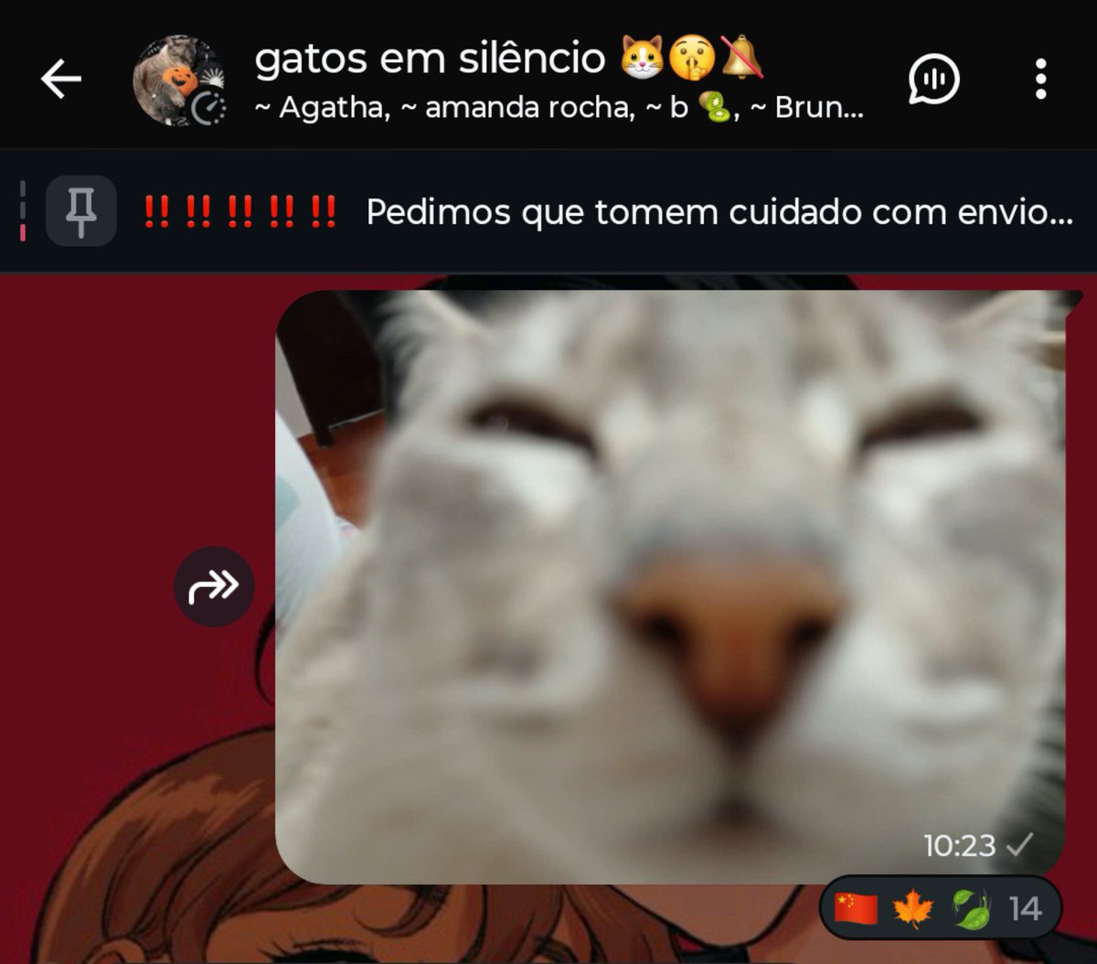 dykeAK47's tweet photo. tão chamando a minha filha de chinesa E maconheira no grupo dos gatos vsffffff https://t.co/SY5gS4pUwp