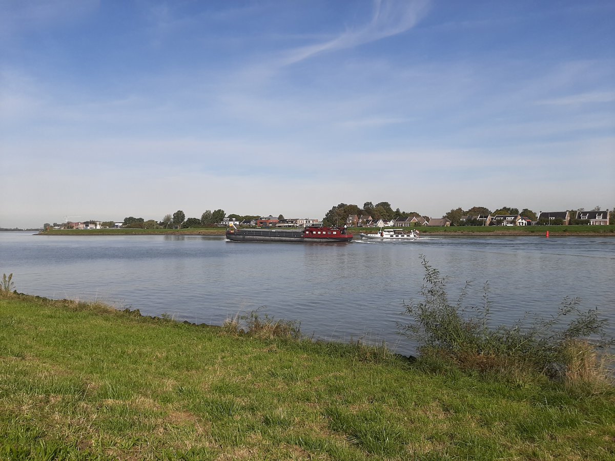 MEKloppenburg's tweet photo. Vanochtend eerst een uurtje bij telpost De Gorzen gestaan in de #Crezéepolder #Ridderkerk, met allemaal medevogelaars, in het kader van #EuroBirdwatch 2026. Daarna een rondje Crezéepolder gedaan (5 km). Nog een héél fijne zaterdag! https://t.co/fCe0SsU2kn
