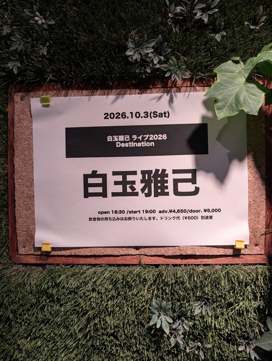 pgnonlife98's tweet photo. 今年もTamaさんを見ることができました
６年間の集大成を強調されましたが
セトリは大満足な内容でした🫶
やっぱりfuzz butterflyしか勝たん
今夜もありがとうございました
#白玉雅己
#Destination https://t.co/jCKr3DGGDL