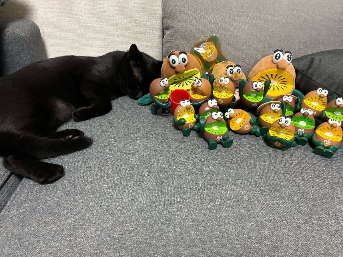 Dowasure0794's tweet photo. ( ˊ̱˂˃ˋ̱ )固定用( ˊ̱˂˃ˋ̱ )
クソおバカな高校2年生です
ファンパレ2025年11月25日〜、ポイ活で溜まったポイント使うくらいの微課金勢
猫を飼ってます、名前はめめ！
推しはマッシブーン、小2の頃から大好き！
呪術では高羽と羂索が好きだよ！
気軽に絡みに行くし絡んでくれると超嬉しい！ https://t.co/39ASx0e9FC