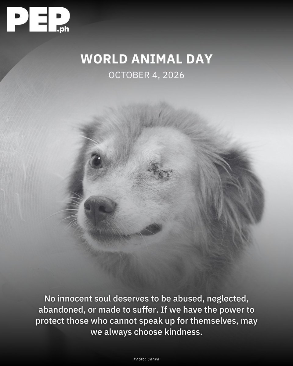 PEPalerts's tweet photo. This World Animal Day, let us remember that being unable to speak does not mean being unable to feel. Every animal deserves a life free from cruelty, surrounded by the same compassion they so freely give to us. 🐾

#WorldAnimalDay #PEPInspires #PEPSocial #PEPAly https://t.co/4wNU8VBoRb