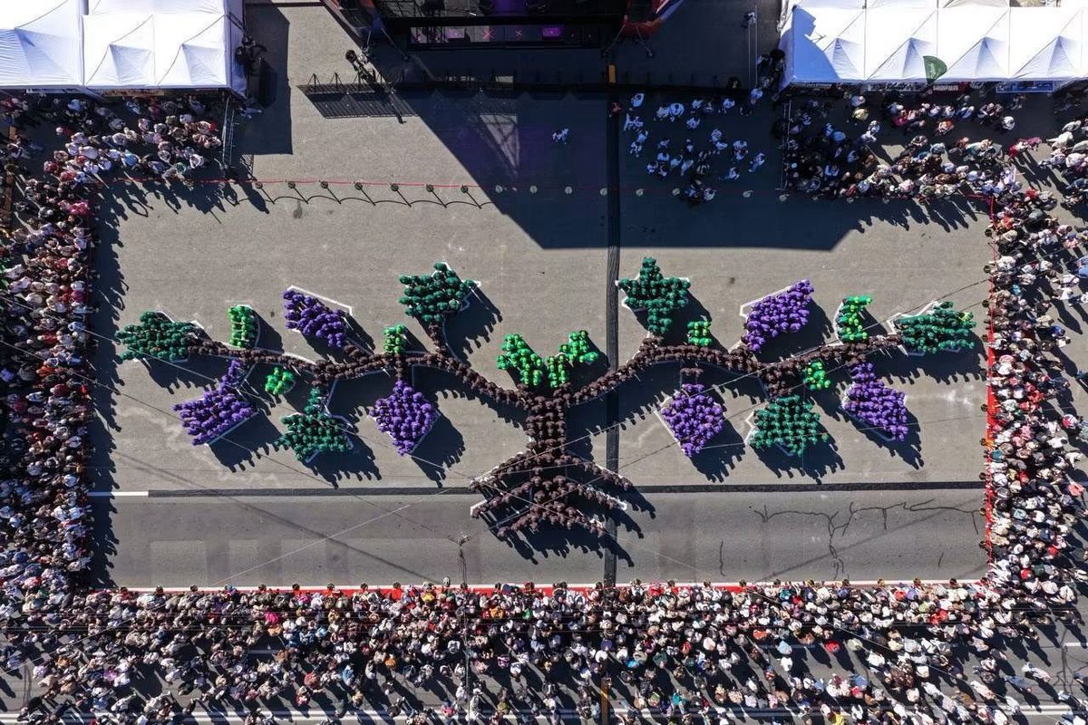 LearnToTaste's tweet photo. A new Guinness World Records title for Moldova!

In the heart of Chișinău, we came together to form the longest human grapevine, marking the 25th National Wine Day with a moment of pride for our entire country.

Improve your tasting skill: only with https://t.co/oWGp1Fv4LT

#lttw https://t.co/xzuc4g5fv7