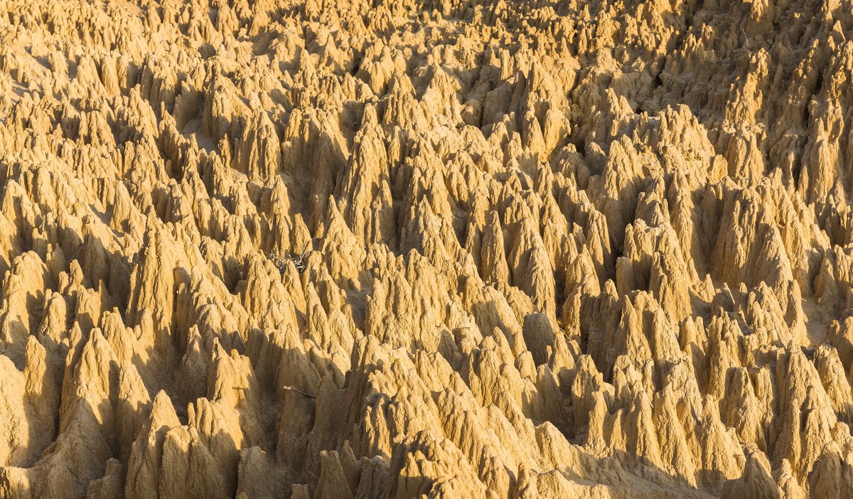 InterestingHOF's tweet photo. Detail view of Los Aguarales de Valpalmas, a rare, fragile and dynamic geological phenomena located near Valpalmas, Zaragoza, Spain. The landscape is the result of water flows over fragile material in a process known as piping.

Diego Delso, 2015 https://t.co/pKHZVaOtgm